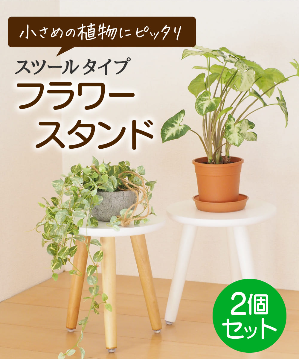 楽天市場】\ポイントアップ！/ フラワースタンド 花台 丸 スツール 2個