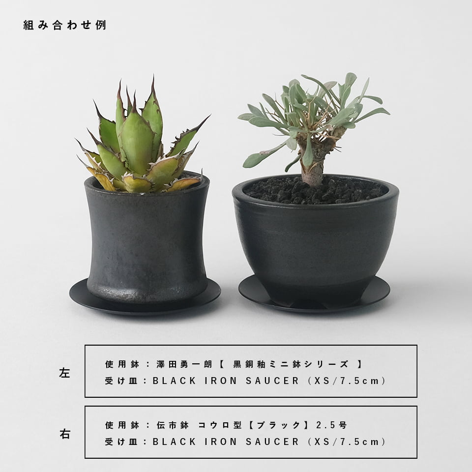 楽天市場】伝市鉢 コウロ型【ブラック】2.5号 φ8cm×H5.5cm 植木鉢 陶器