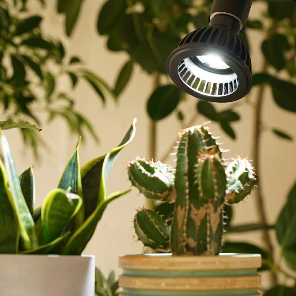 楽天市場】アマテラス 【LED 10W】 植物育成ライト BARREL 水槽用照明