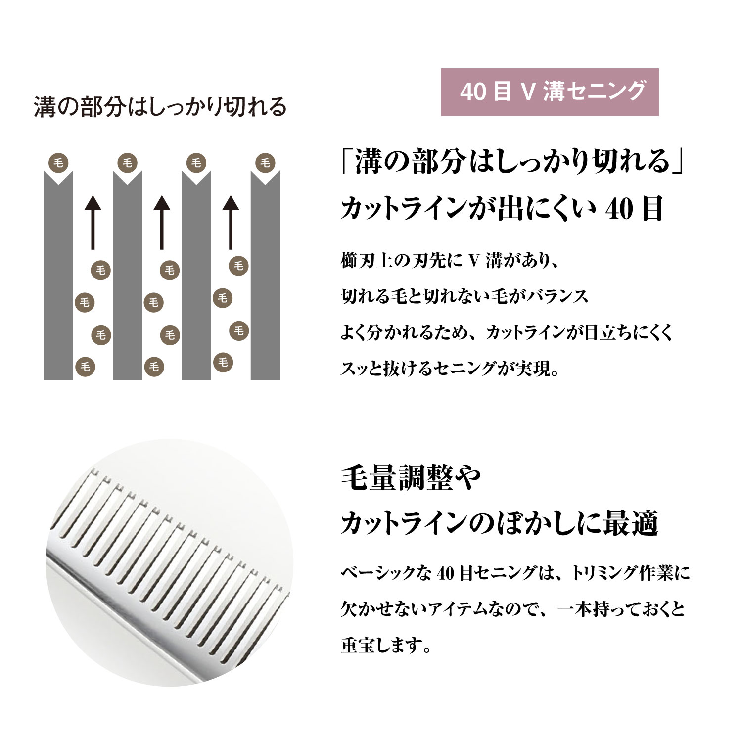 楽天市場】【メール便送料無料】日本の鋏専門メーカー トリマー用