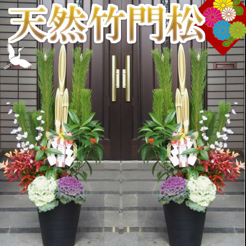 楽天市場】【特別仕様】ゴールド竹天然竹門松/門松/かどまつ 一対（2個