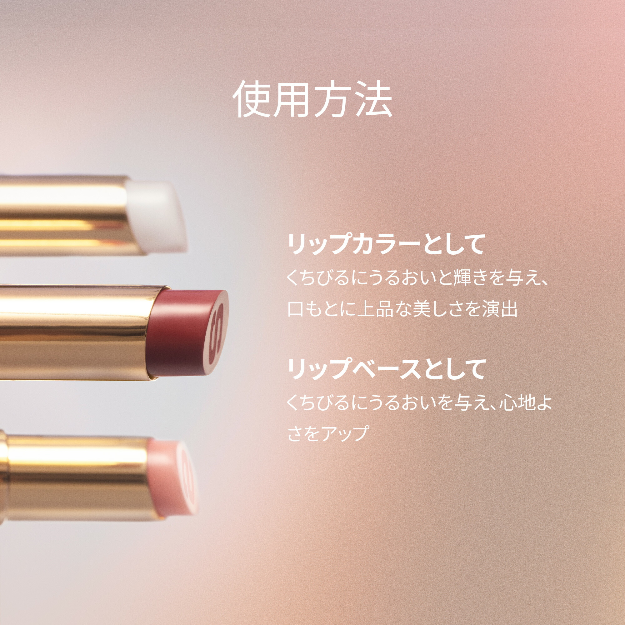 楽天市場】【公式】 シスレー フィト リップ バーム リップバーム