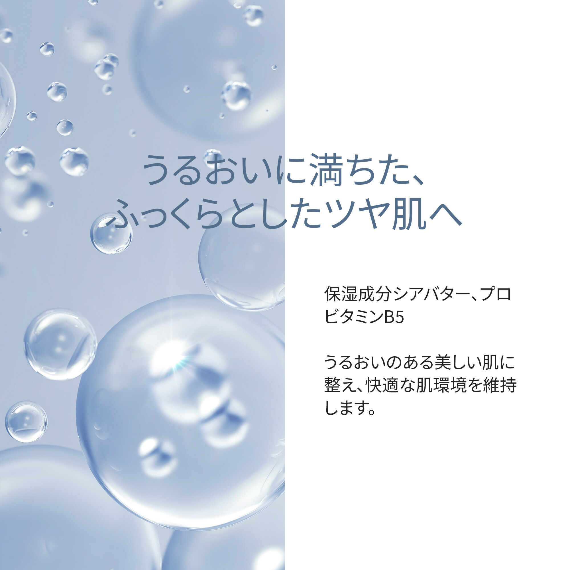 楽天市場】【ポイント10倍】 【公式】 シスレー フィトブラン ラ
