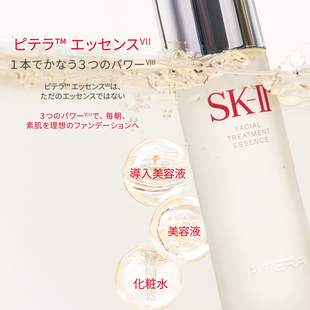 楽天市場】ピテラベストコレクション2025 ホリデーコレクション : SK