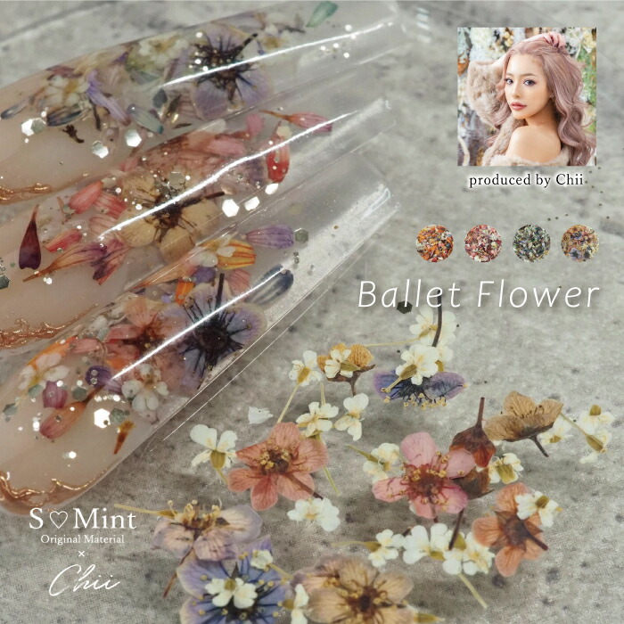 楽天市場】Chii ドライフラワー 押し花【SMint×Chii Ballet Flower