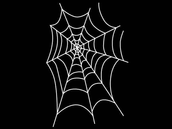 楽天市場】SPIDERWEB POCKET T-shirt BACK PRINT（スパイダーウェブ