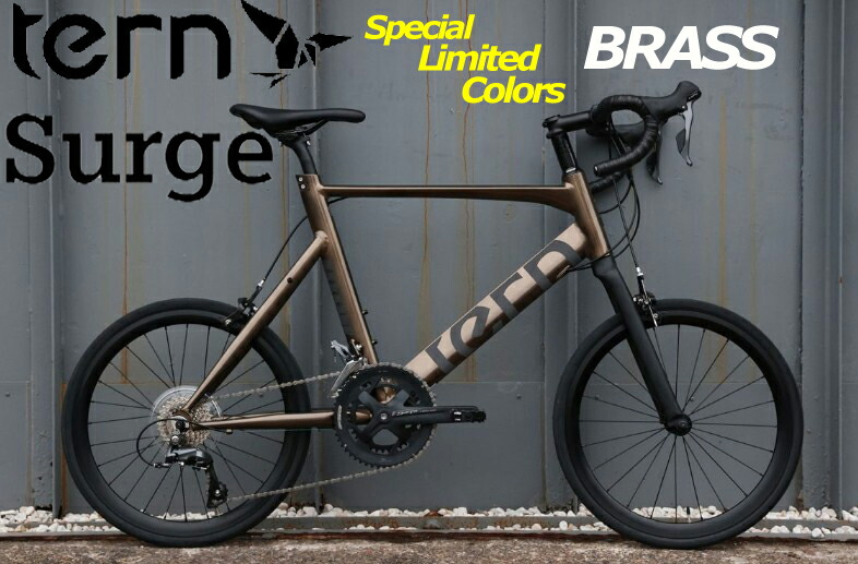 楽天市場】【ポイント5倍 西濃支店止め送料無料一部割引】TERN ターン