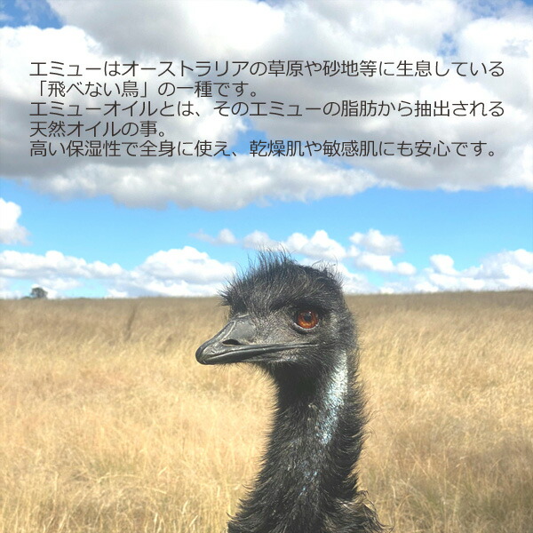emu-cream40g-kyo02.jpg