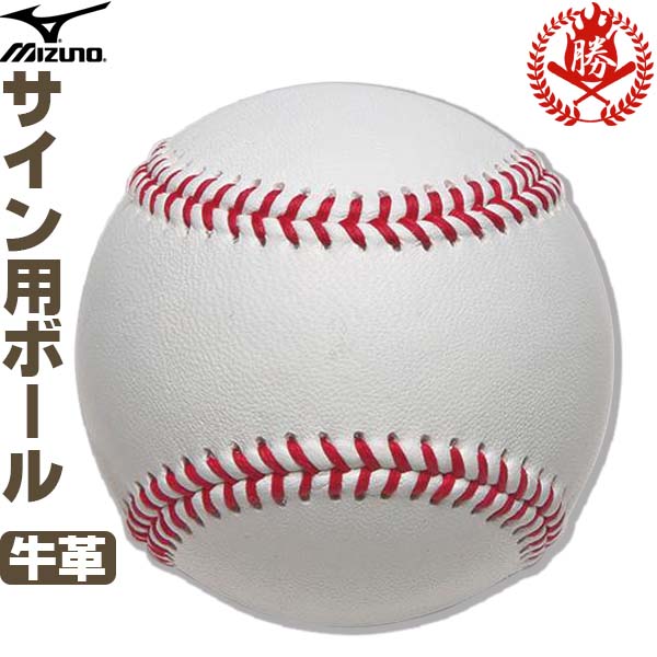 ミズノ 天然皮革 サインボール 16個セット 楽天市場】サインボール