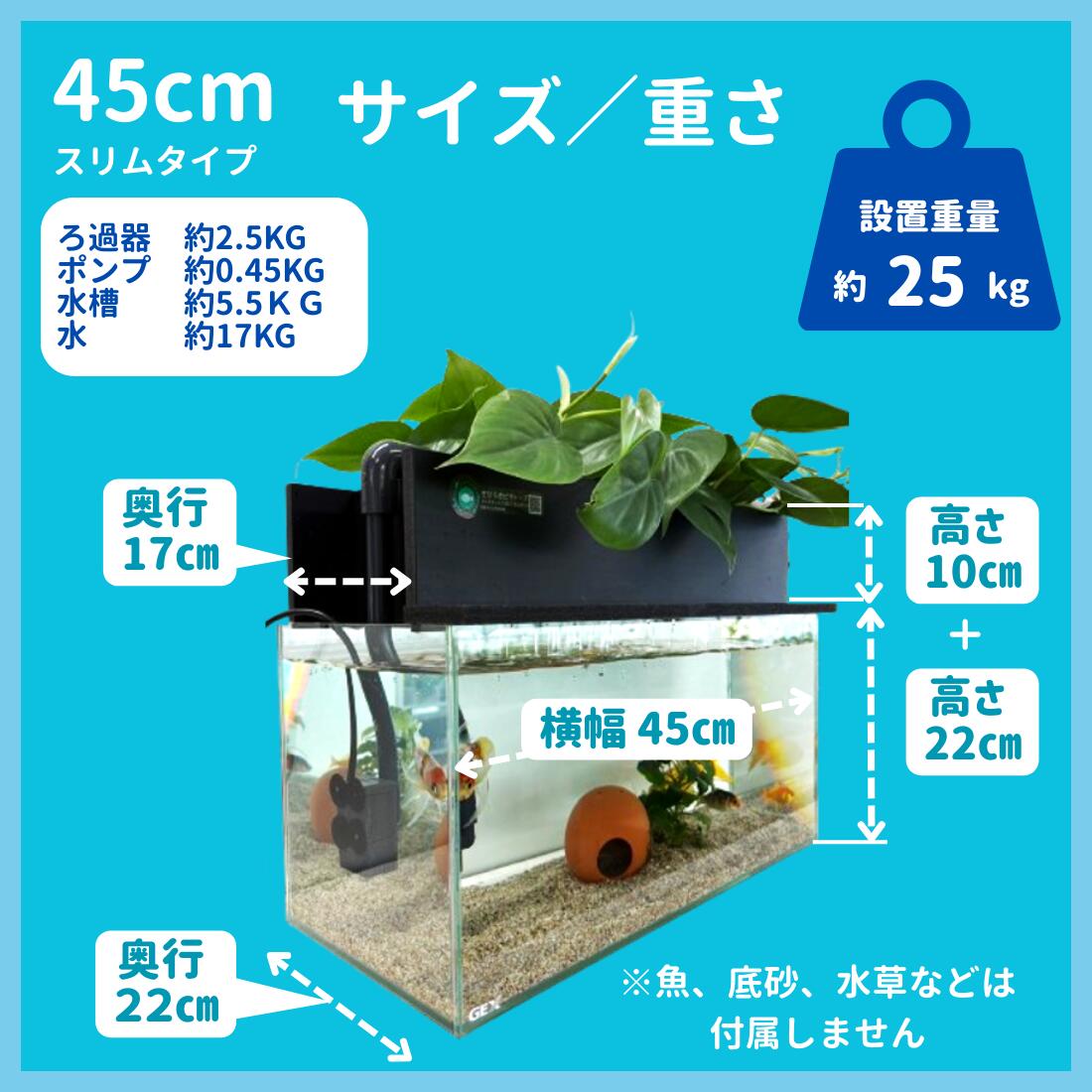 楽天市場】【TVで紹介されました】水換え不要 水槽セット せせらぎ