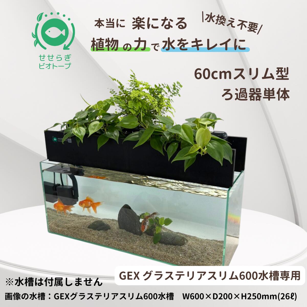 楽天市場】【TVで紹介されました】水換え不要 せせらぎビオトープ 上部