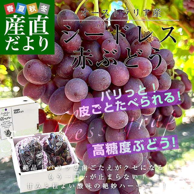 楽天市場】皮ごと食べられる！豊かな甘み！シードレス赤ぶどう