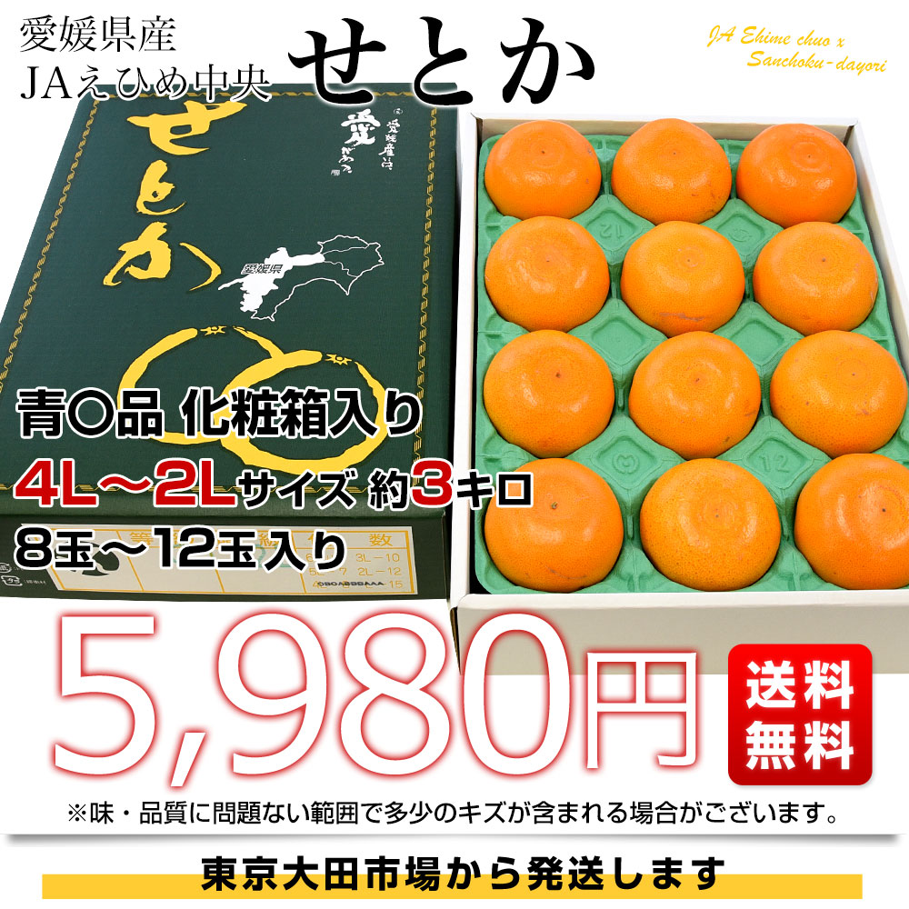 楽天市場】愛媛県産 JAえひめ中央 せとか 青〇品 化粧箱 4Lから2L
