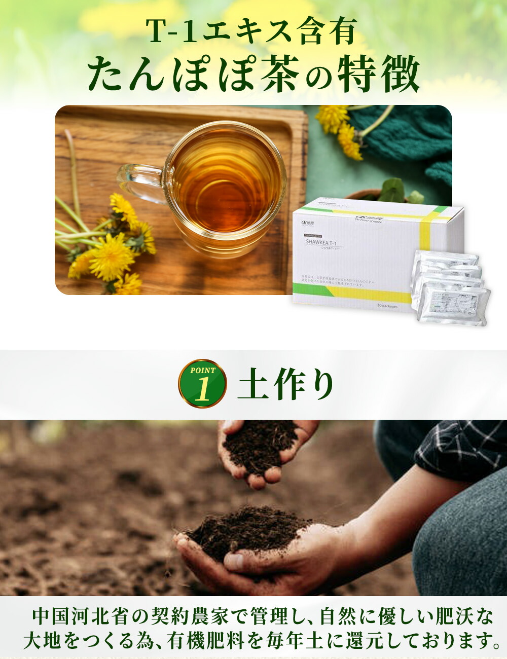 楽天市場】【選べるオマケ付】〔徳潤〕ショウキT-1プラス 30包 1箱