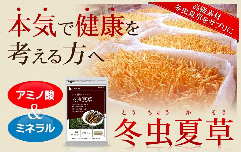楽天市場】【2/19開始☆タイムセールで298円】冬虫夏草【約1ヶ月分
