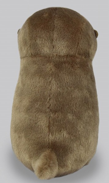 楽天市場】○【アミューズ正規品】カワウソうそやん STこげチャン 17cm