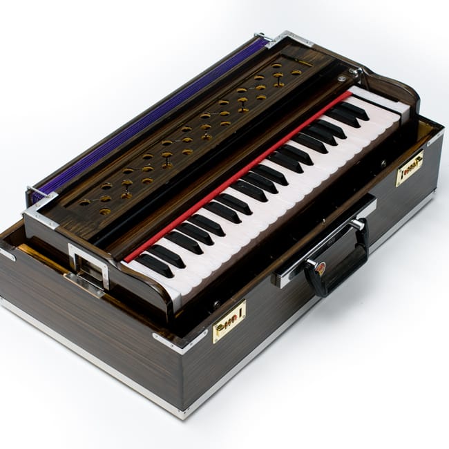 楽天市場】【送料無料】 【Kartar Music House社製】ポップアップ