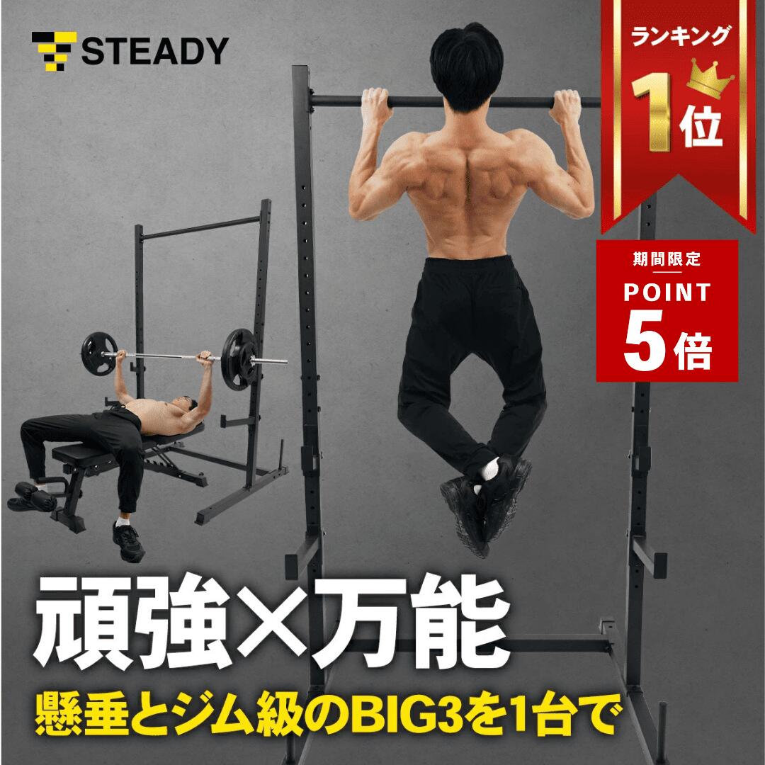 楽天市場】＼ポイント5倍 ~2/25 23:59まで／懸垂マシン ラック型 耐