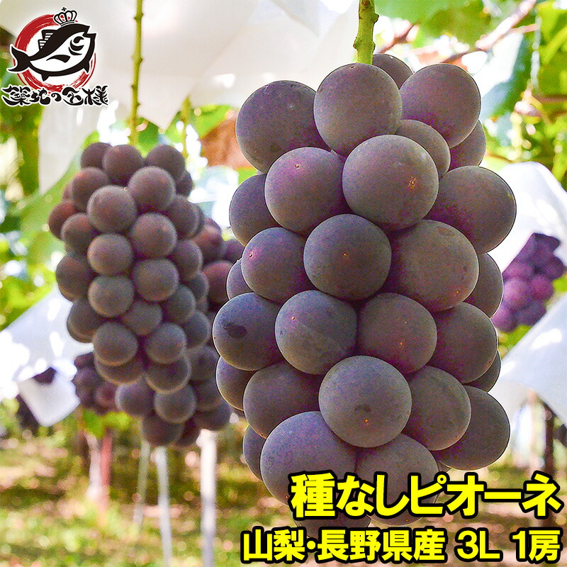 楽天市場】ピオーネ1房 山梨 長野県産 種なしピオーネ 650g-700g前後