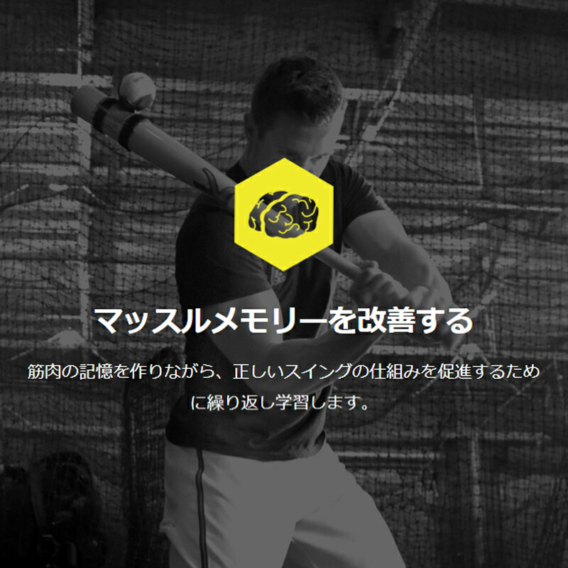 楽天市場】野球 打撃練習アイテム ラインドライブプロトレーナー