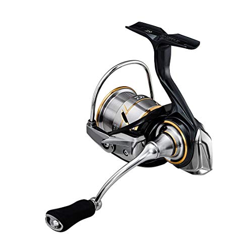 楽天市場】ダイワ(DAIWA) 一般 スピニングリール 20 ルビアス FC