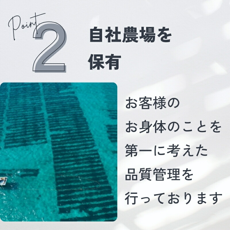 楽天市場】【楽天1位】快朝酵素プラス酵母DX 248粒 サプリ ダイエット