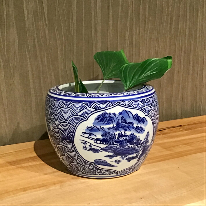 楽天市場】火鉢 金魚の通販