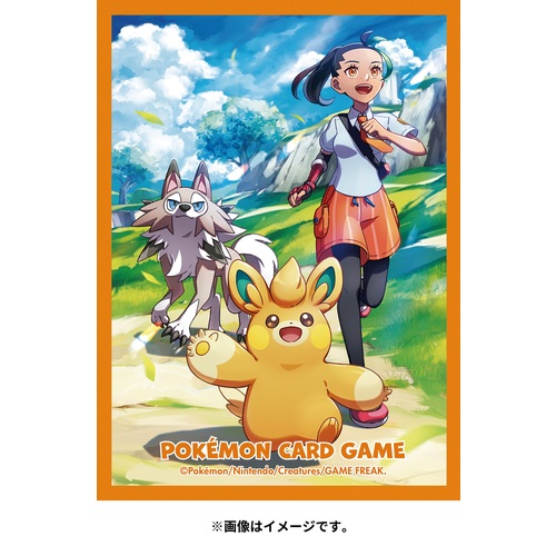 楽天市場】ポケモンセンターオリジナル ポケモンカードゲーム デッキ