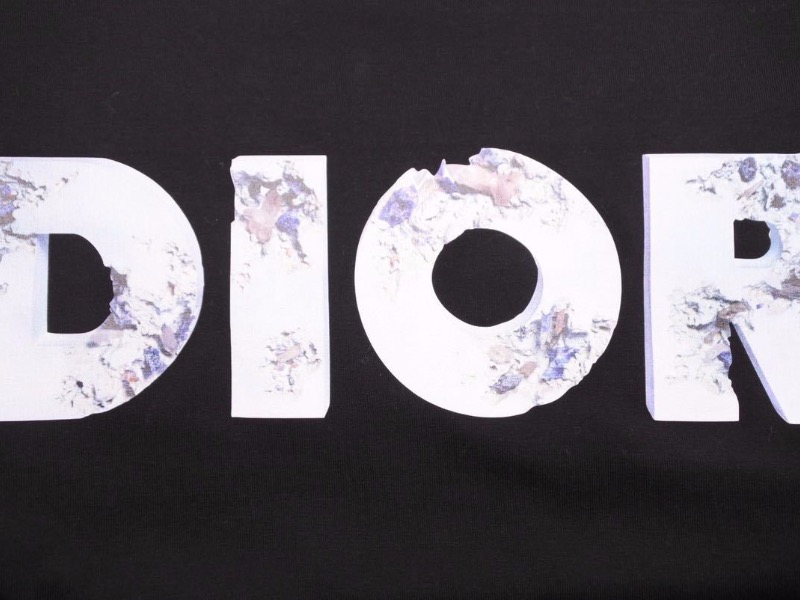 楽天市場】DIOR HOMME ディオールオム Tシャツ ダニエル・アーシャム