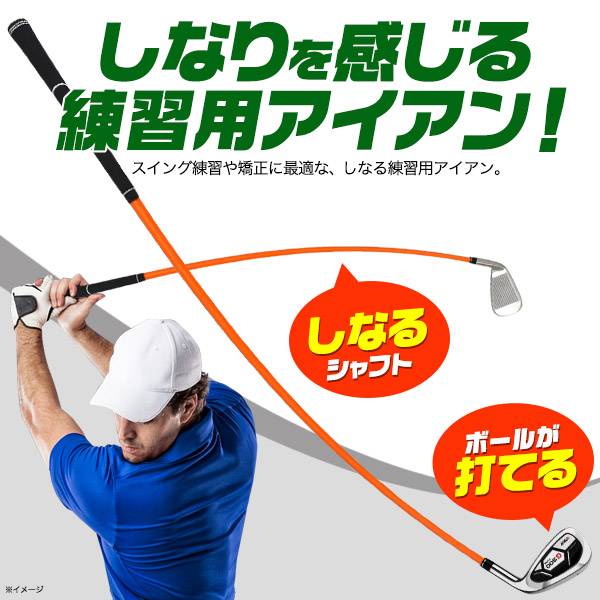 SHINARI IRON シナリアイアン ゴルフ練習器具 楽天市場】シナリ