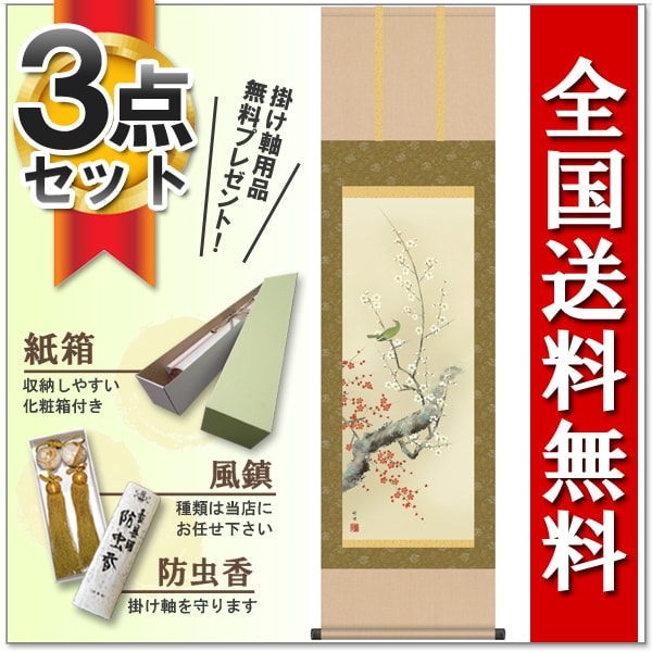 楽天市場】掛け軸 掛軸（かけじく）[尺三立]紅白梅に鶯（田村 竹世