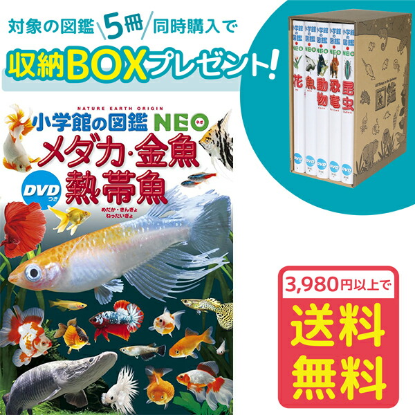楽天市場】【収納BOX付・送料無料・条件有】小学館の図鑑NEO メダカ