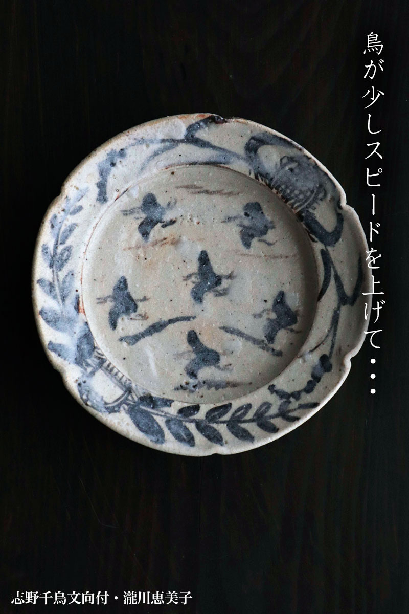 楽天市場】志野焼：志野千鳥文向付・瀧川恵美子《小鉢・16.5cm》 : 和