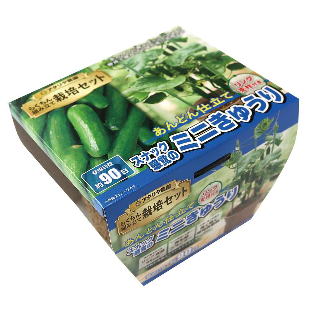 楽天市場】アタリヤ農園 支柱付き ミニ胡瓜 [栽培キット きゅうり 野菜