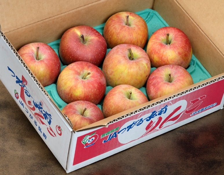 サン北斗」青森県産りんご 約3kg×2箱 (1箱：8〜12玉) 産地箱入 ※常温