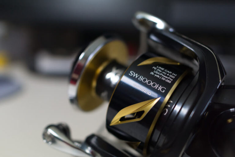 19STELLA SW8000HG 使用回数3回即日発送