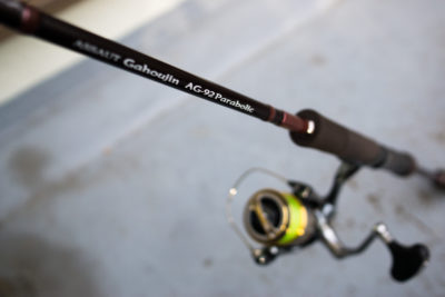 ゼナック インクルード INQLUDE IS82-M4 - SQUID IMPACTを購入