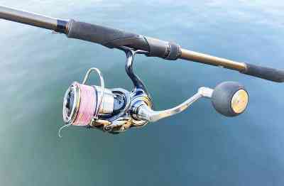 19 セルテート LT5000Dのスペックとインプレ | 釣りクラウド