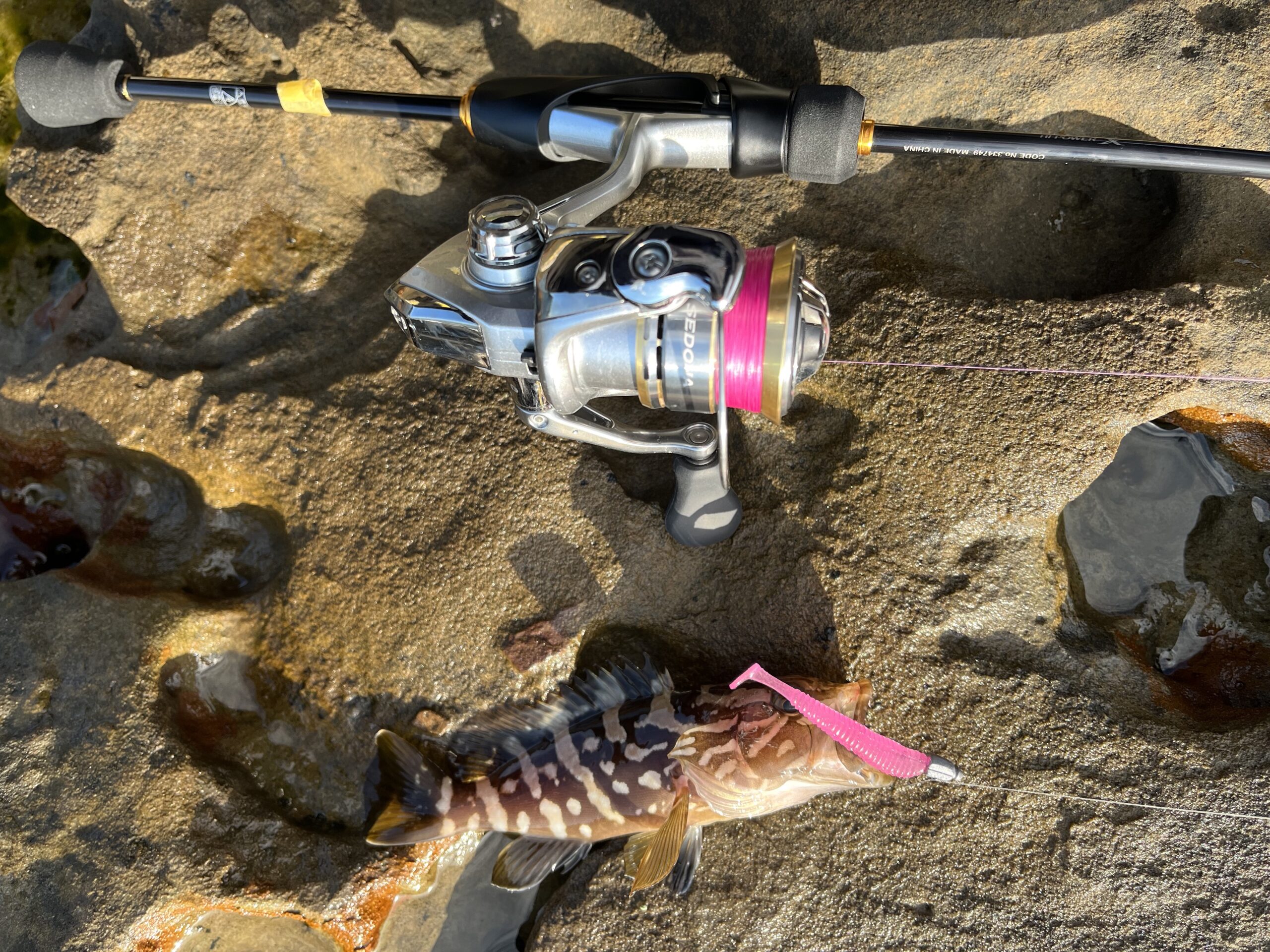 インプレ】23 ソアレ BB アジングを1年間使った実釣レビュー | つりぽん