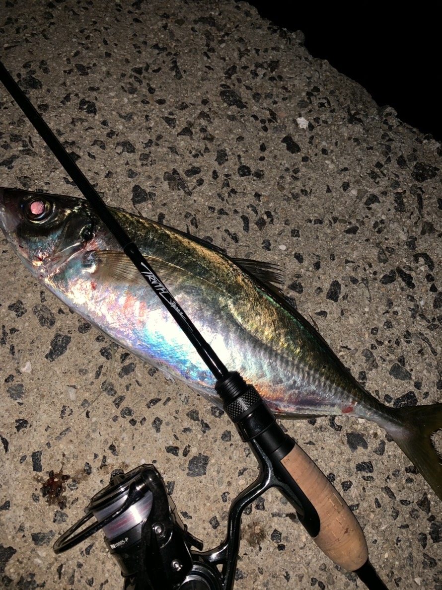 Pierrot 511 | TRUTH JAPAN