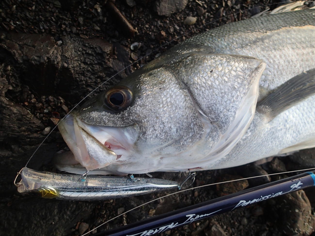 Permission 95MH (SeaBass BAIT Casting Model) | TRUTH JAPAN