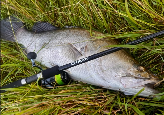 Permission 97SMH (SeaBass Spinning Model) | TRUTH JAPAN