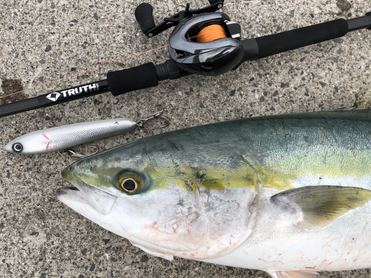 ヒラスズキモデル BlackAddiction 105 ベイトモデル（OVERHEAD model