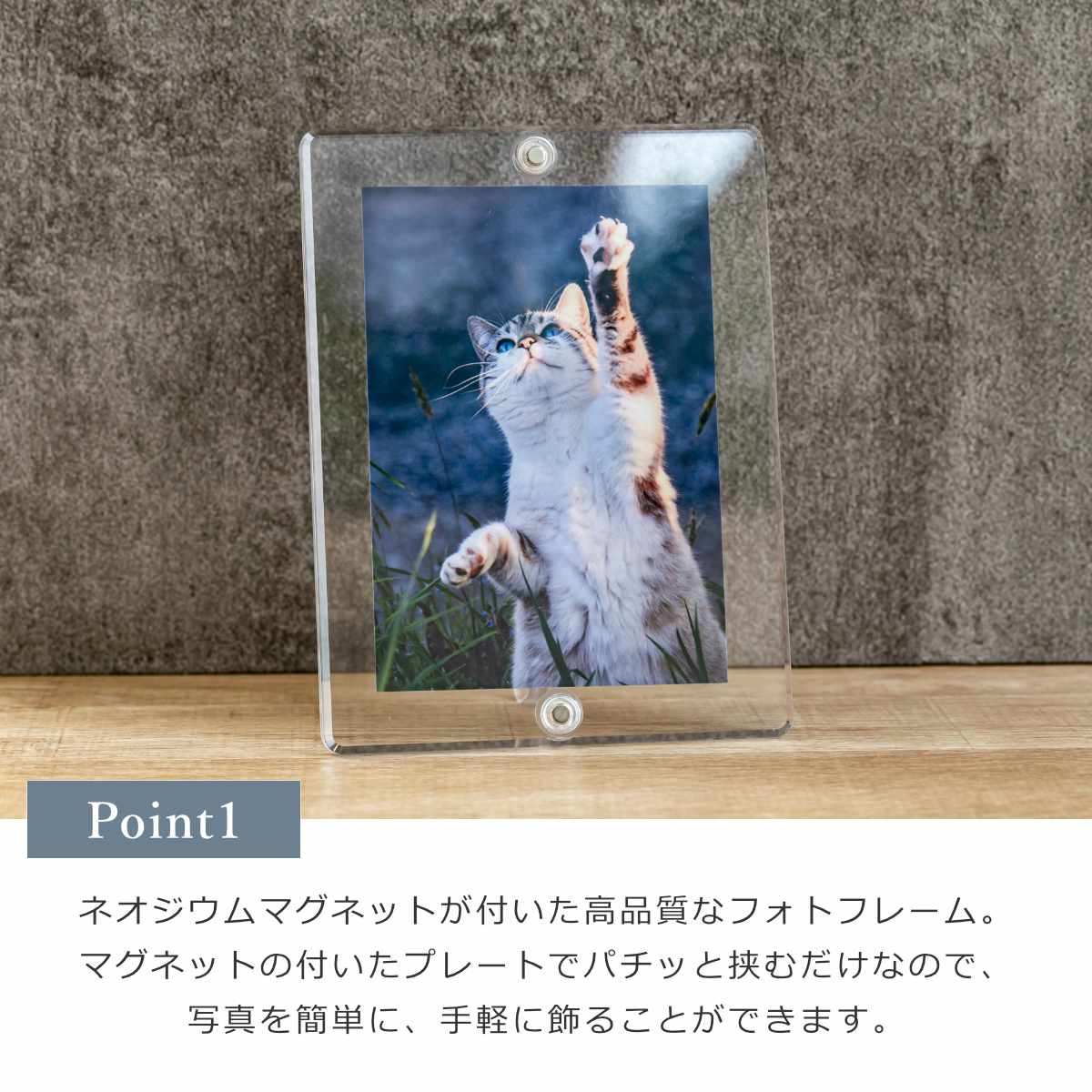 日本製】【アクリルクリスマスツリーおまけ付き】 マグパチ フォト