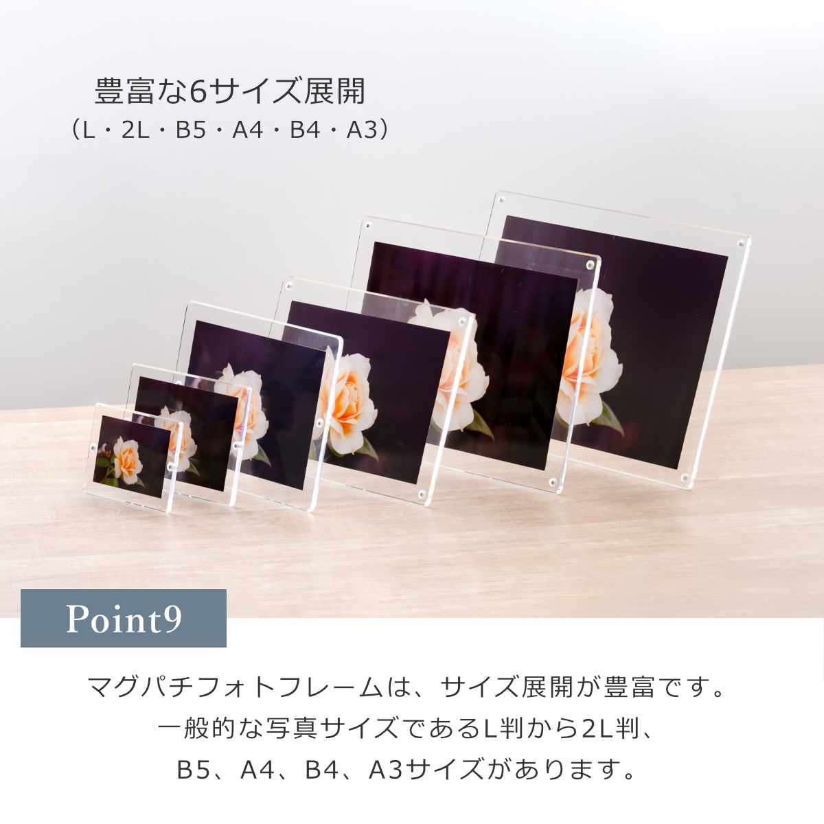 日本製】【アクリルクリスマスツリーおまけ付き】 マグパチ フォト