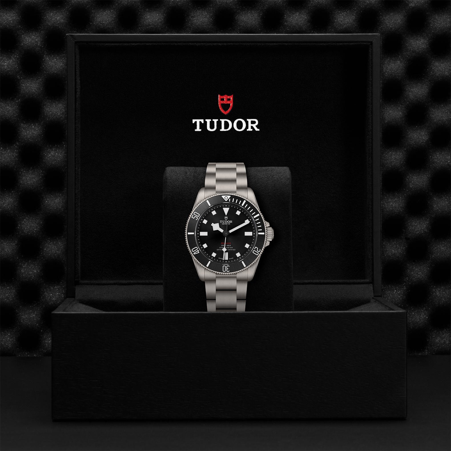 TUDOR PELAGOS 39 M25407N-0001 チタニウム M25407N-0001 | チューダー