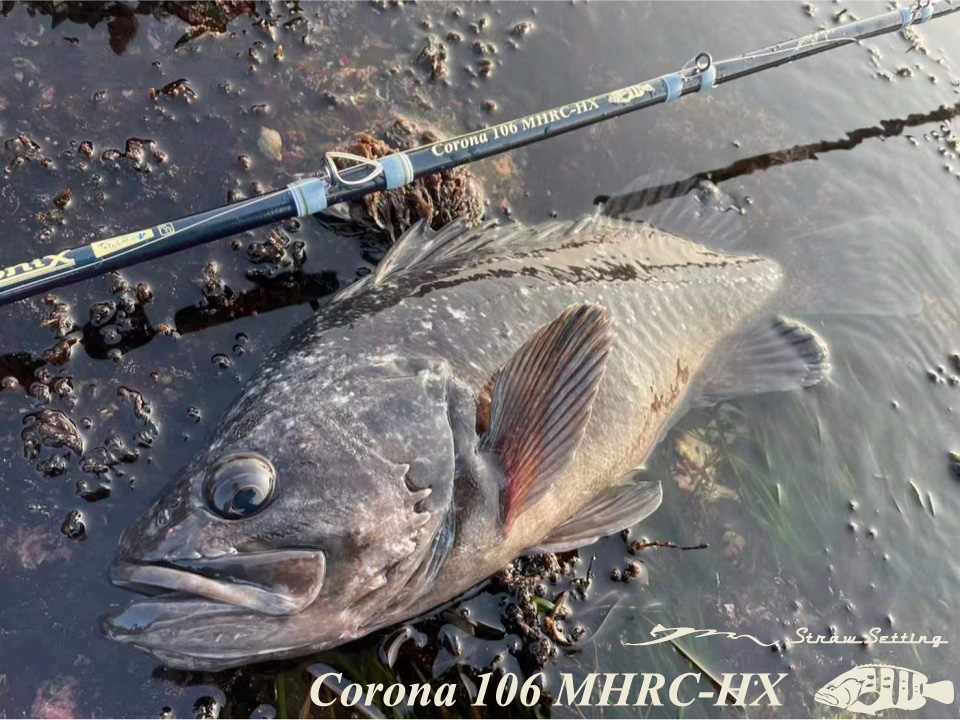 最終値下げツララコローナ106MHRC-HX corona ストローセッティング