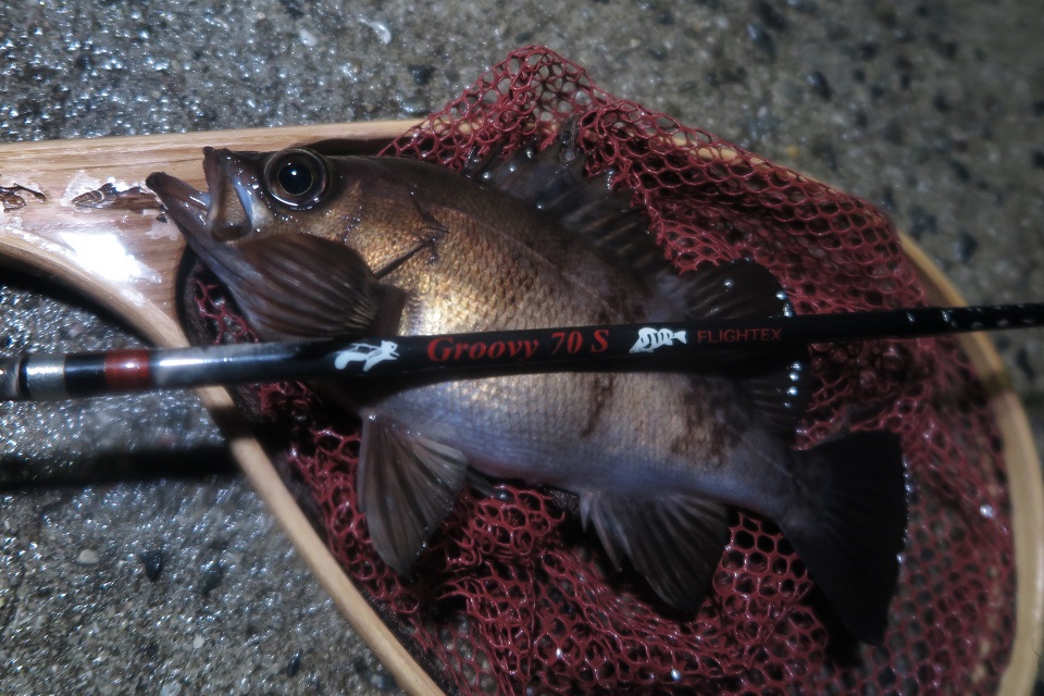 TULALA | Ford every stream | » 【STAFF】ライトゲームスタンダード