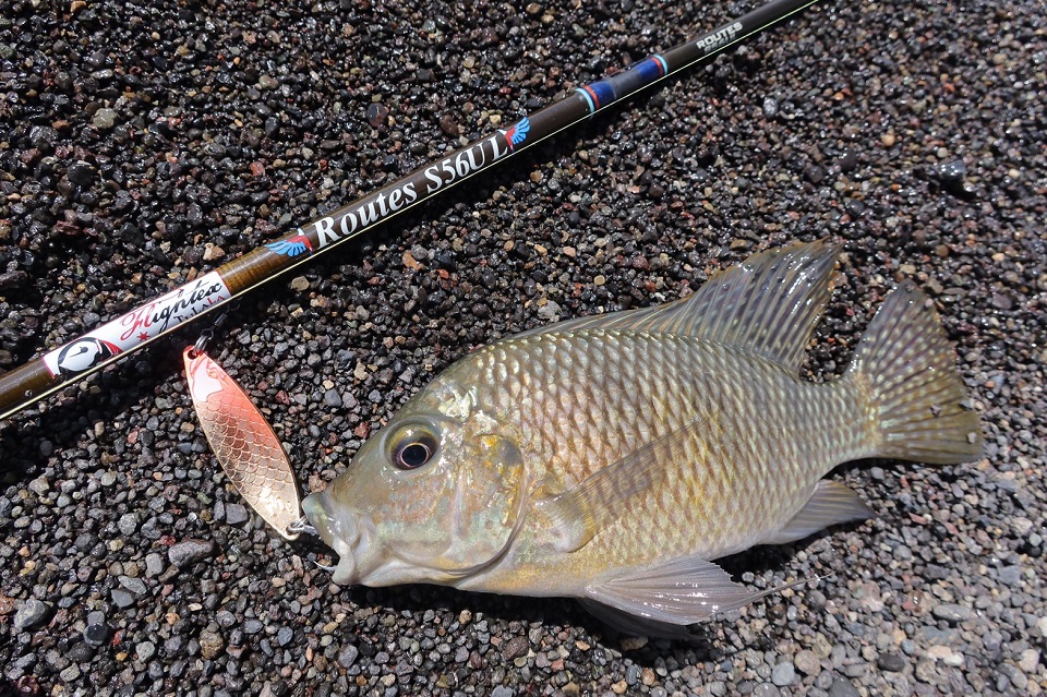 TULALA | Ford every stream | » Routes S56UL