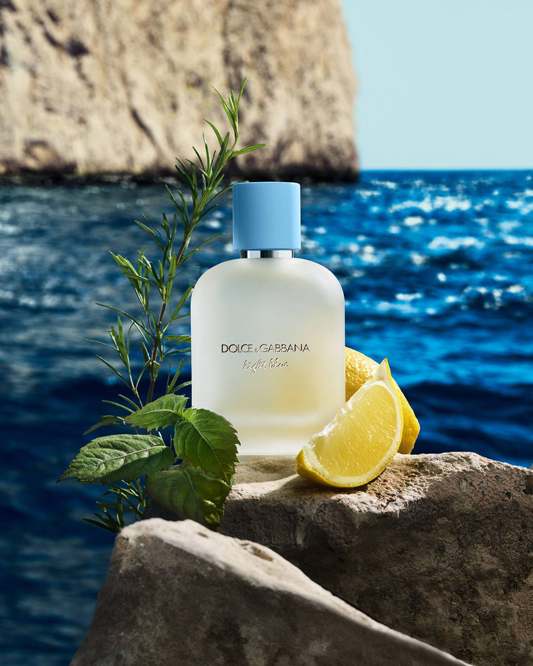 LIGHT BLUE｜DOLCE＆GABBANA（ドルチェ＆ガッバーナ）
